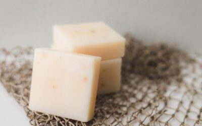 Hoe maak je kaas: van verse melk tot smeuïge plak